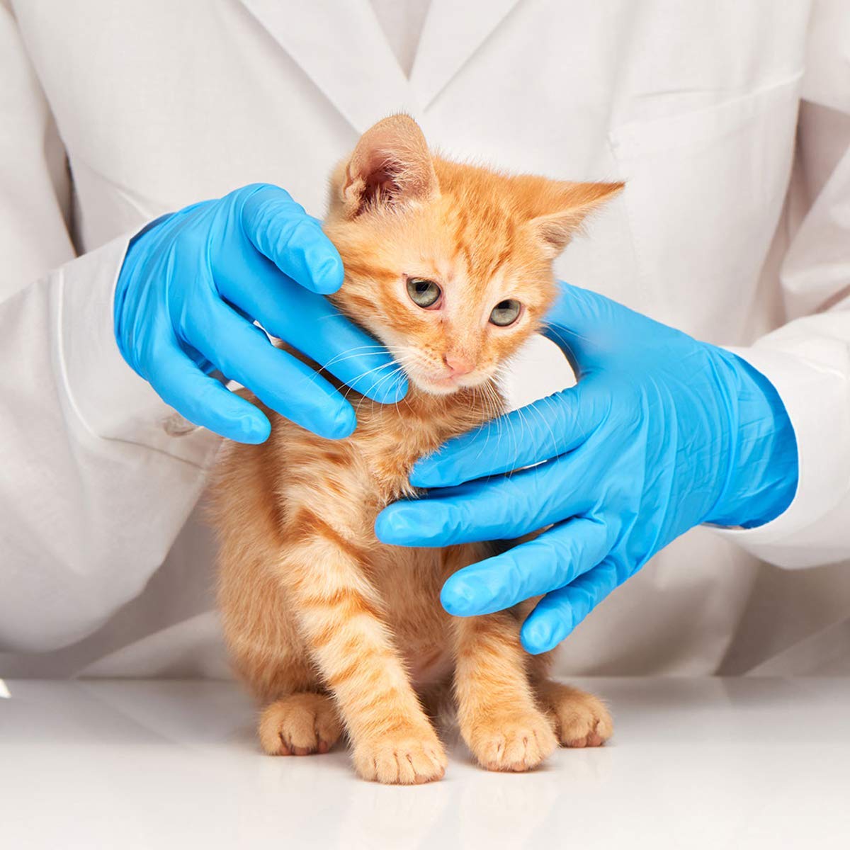 Latex-Free Blue Nitrile Exam G - огляд і ціна Exam Glove Nitrile